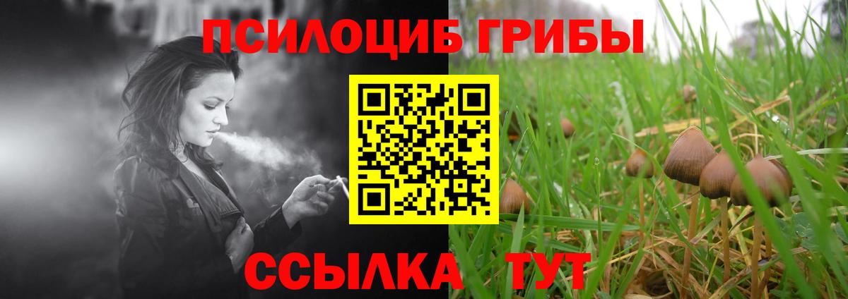 Саянск  купить наркоту  Вход с VPN  Галлюциногенные грибы MAGIC MUSHROOMS 